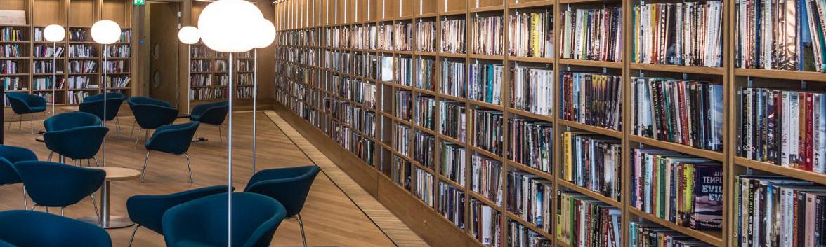 DLR Lexicon library