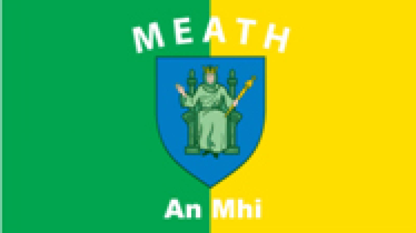 Meath Flag