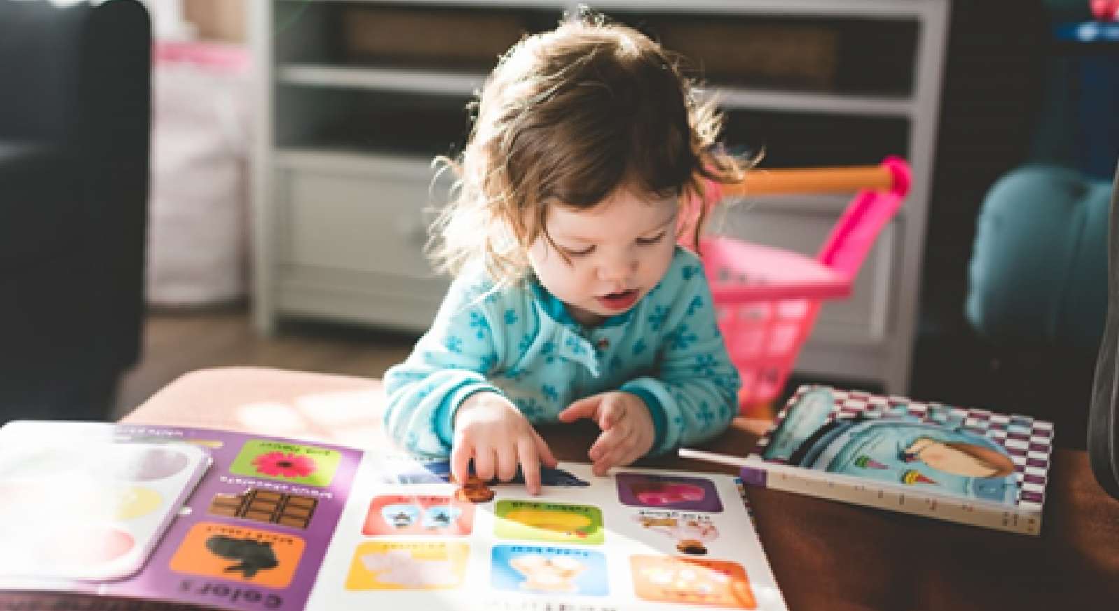 A young child looks at a picture book